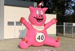 feestvarken opblaasvarken opblaasfiguur blikvanger te huur, Ophalen, Zo goed als nieuw, Verjaardag
