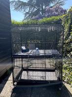 Kooi voor vogels of knaagdieren, Dieren en Toebehoren, Knaagdieren en Konijnen | Hokken en Kooien, Ophalen, Kooi, Gebruikt, Hamster