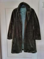 Teddy jas, Kleding | Dames, Jassen | Winter, Ophalen of Verzenden, Zo goed als nieuw, Groen