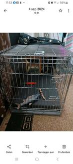 Honden bench 50x90, Ophalen, Zo goed als nieuw