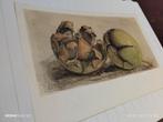 Kunstschilder DIRK VAN GELDER1973   OKKERNOTEN., Ophalen of Verzenden, 1920 tot 1940