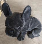 Franse bulldog zie ook andere advertenties, Ophalen, Zo goed als nieuw, Dier