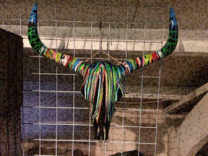 Buffelschedel , Skull gekleurd , grote aantallen op voorraad, Huis en Inrichting, Woonaccessoires | Overige, Ophalen of Verzenden