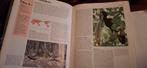 Encyclopedie van de Vogels, Boeken, Encyclopedieën, Onbekend, Ophalen of Verzenden, Zo goed als nieuw, Los deel