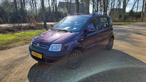 Fiat Panda 1.2 Dynamic AIRCO ELEK RAMEN NW APK UNIEKE KLEUR!, Auto's, Fiat, Bedrijf, Te koop, Panda, ABS, Airbags, Airconditioning