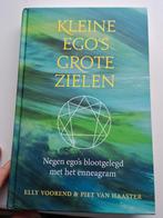 Kleine Ego's, Grote Zielen - Enneagram, Boeken, Achtergrond en Informatie, Ophalen of Verzenden, Zo goed als nieuw, Elly Voorend & Piet van Haaster