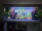 Gratis 120cm aquarium en nieuw tafel, Dieren en Toebehoren, Vissen | Aquaria en Toebehoren, Ophalen, Gebruikt