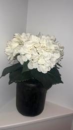 Kunstbloemen inclusief vaas, Ophalen, Gebruikt