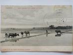 B14 Soerabaja Sawah Zwerfkaart 1908, Verzamelen, Ophalen of Verzenden, Voor 1920, Buiten Europa