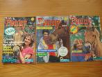 3x Vintage Penny pony tijdschriften.(1985), Meerdere stripboeken, Ophalen, Gelezen