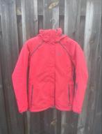 Salomon Ski Jas Dames, Ophalen of Verzenden, Gedragen, Maat 38/40 (M), Jack