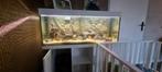 aquarium compleet 120 breed juwel, Huis en Inrichting, Ophalen of Verzenden, Gebruikt, 75 cm of meer