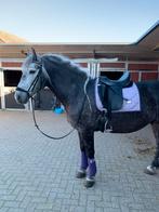 Equestrian Stockholm Lavender bandages, Dieren en Toebehoren, Paarden en Pony's | Dekens en Dekjes, Dekje, Gebruikt, Ophalen of Verzenden