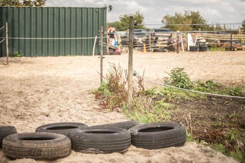 Stalhulp gezocht / zomerbaan - zwanenburg, Dieren en Toebehoren, Paarden en Pony's | Overige Paardenspullen, Nieuw, Overige soorten