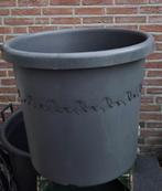 Elho planten/boom kuip, Tuin en Terras, Bloembakken en Plantenbakken, Ophalen, Kunststof, Gebruikt, Minder dan 60 cm