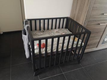Box Julia  beschikbaar voor biedingen