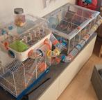 FANTASTISCH HAMSTER PARADIJS!, Kooi, Gebruikt, Hamster, 75 tot 110 cm