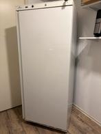 Te koop horeca koeling 600 liter, Witgoed en Apparatuur, Vriezers en Diepvrieskisten, Ophalen, Zo goed als nieuw, 60 tot 90 cm