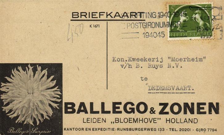 Ballego + Zonen, Leiden, Bloemhove - 09.1945 - briefkaart, Postzegels en Munten, Brieven en Enveloppen | Nederland, Envelop, Ophalen of Verzenden