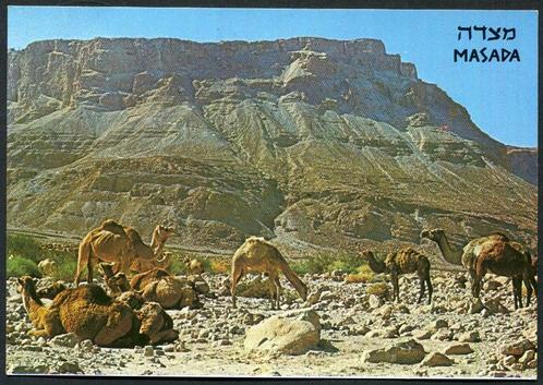 Masada General view Israel, Verzamelen, Ansichtkaarten | Buitenland, Ongelopen, Buiten Europa, 1960 tot 1980, Verzenden