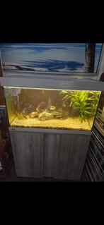 Eheim aquarium met kast 81x36x49 LED, Ophalen of Verzenden, Zo goed als nieuw, Leeg aquarium
