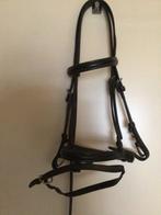 Hoofdstel. Maat Pony. Nieuw, Ophalen of Verzenden, Nieuw, Recreatie