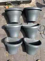 Elho Plantenhanger Corsica Vertical Forest, Kunststof, Gebruikt, Minder dan 30 cm, Minder dan 60 cm