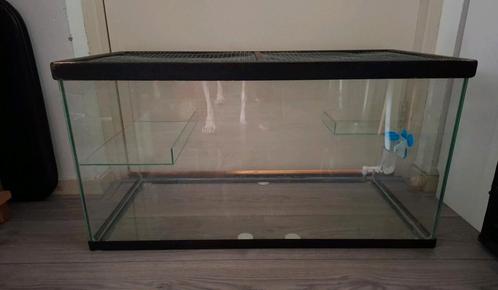 Glazen hok/kooi met deksel, Dieren en Toebehoren, Knaagdieren en Konijnen | Hokken en Kooien, Gebruikt, Hok, Minder dan 60 cm