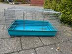 Groot Caviahok / Konijnenhok, Dieren en Toebehoren, Knaagdieren en Konijnen | Hokken en Kooien, Minder dan 60 cm, Gebruikt, Ophalen of Verzenden