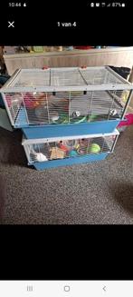 Hamsterkooien, Ophalen, Zo goed als nieuw, Kooi, Minder dan 60 cm