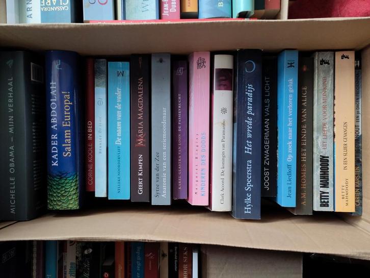 Verschillende boeken.Bijna gratis, Boeken, Partijen en Verzamelingen, Gelezen, Ophalen of Verzenden