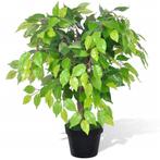 Kunstplant kamerplant vijgenboom 60 cm GRATIS BEZORGD!, Nieuw, Binnen, Verzenden