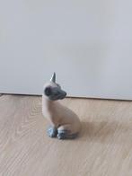 Curiosa kabinet katten  Valencia, Ophalen of Verzenden, Dier