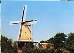 (F178) Ansichtkaart Holwerd molen De Hoop 1960, Verzamelen, Ansichtkaarten | Nederland, Verzenden, 1960 tot 1980, Ongelopen, Gelderland