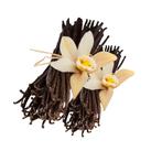 Vanillestokjes uit Madagascar, Ophalen of Verzenden