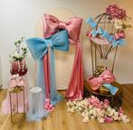Backdrop Gender Reveal Decoratie te huur, Ophalen, Zo goed als nieuw, Geboorte of Huwelijk