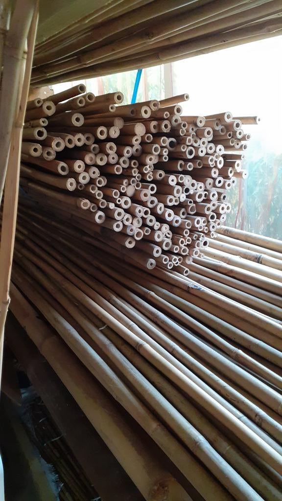 BAMBOE STOKKEN / PALEN TONKIN STOKKEN, Hillegom/Zwanenburg/Amsterdam, Nieuw, Gabe@bamboer.com, De Bamboer