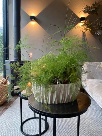 River design vaas beschikbaar voor biedingen