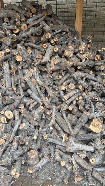 Droog appelhout fruitbomenhout haardhout  beschikbaar voor biedingen