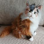 Knuffelkat Francien Niet van echt te onderscheiden, Ophalen of Verzenden, Zo goed als nieuw, Pop