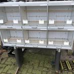 Mooie gebruikte kweekkooi uitmuntend te gebruiken als Broedk, Ophalen of Verzenden, Zo goed als nieuw, Vogelkooi, Info@birdtrade.nl
