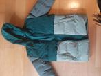 Hema winterjas 146-152, Ophalen of Verzenden, Zo goed als nieuw, Maat 146