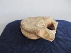 bot wervel Mammoet, Verzamelen, Mineralen en Fossielen, Ophalen of Verzenden, Fossiel