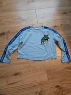 Shirt Lacoste, maat 34, Blauw, Ophalen of Verzenden, Zo goed als nieuw, Lacoste