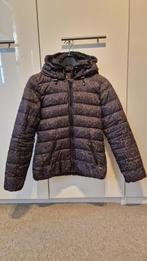 Maison scotch winterjas panterprint, Zo goed als nieuw, Maat 34 (XS) of kleiner, Groen, Maison Scotch