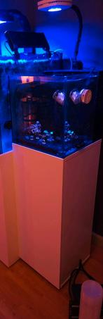 Nano zeeaquarium UNS Dual All-In-One 35a, Ophalen