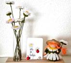 GEZOCHT vilt pakket Madelief (atelier oog van de naald), Hobby en Vrije tijd, Vilt, Ophalen of Verzenden, Zo goed als nieuw, Figuurtje(s)