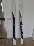 Salomon Ski's - 162 cm - Goede Conditie, 160 tot 180 cm, Gebruikt, Carve, Skiën