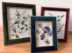 3 Isaac Jacobs fotolijsten met fluwelen rand - goud accent, Ophalen of Verzenden, Zo goed als nieuw, Hout, Minder dan 50 cm