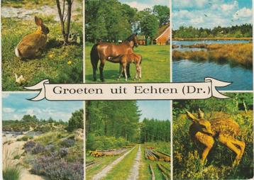 ECHTEN (Dr.) Konijn Heide Paarden Bosbouw Ree Groeten beschikbaar voor biedingen
